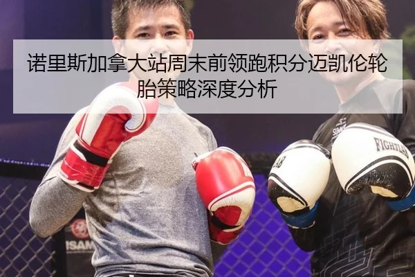 诺里斯加拿大站周末前领跑积分迈凯伦轮胎策略深度分析